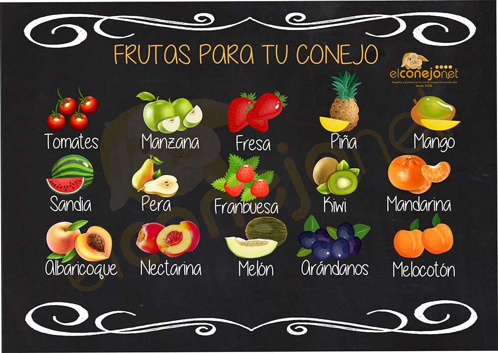 Cartel de frutas recomendadas para conejos enanos