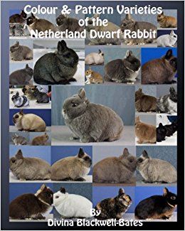 Libro Colour & Pattern Varieties of the Netherland Dwarf Rabbit