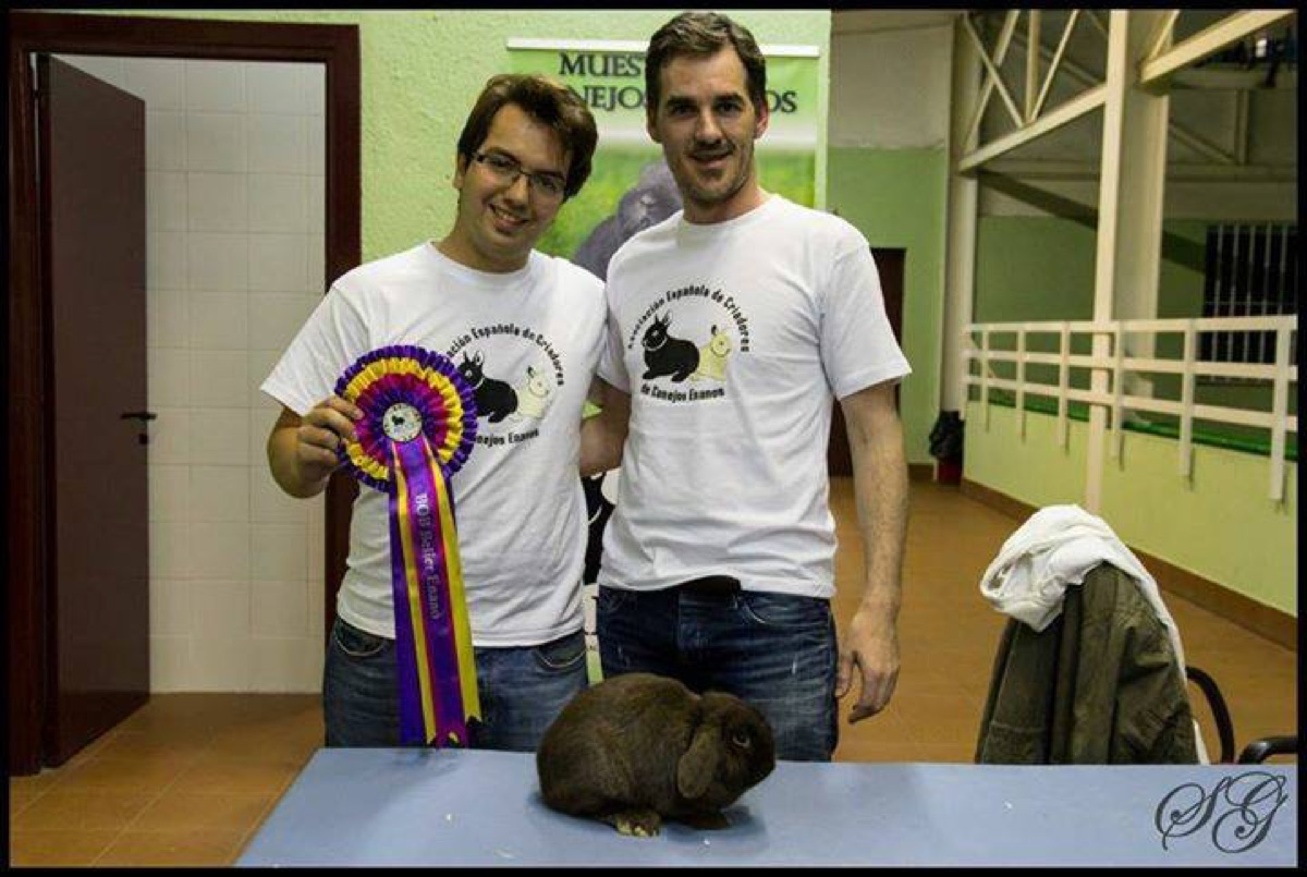 I Exposición Nacional 2013 · Galapagar (Madrid) (7)