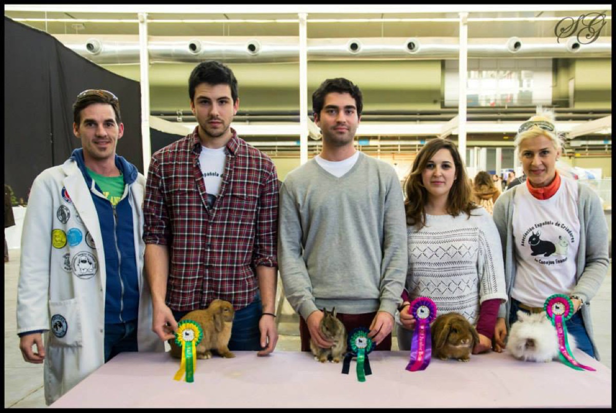 II Exposición Nacional 2014 · Valladolid (4)