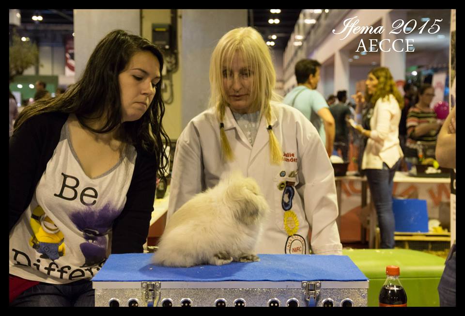 XII y XIII Exposición Nacional 2015 · Madrid (6)
