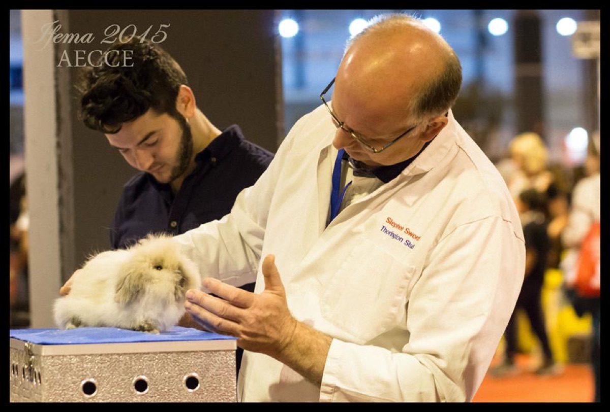 XII y XIII Exposición Nacional 2015 · Madrid (1)