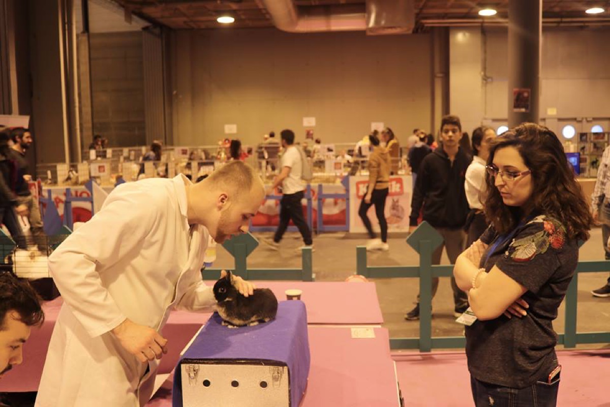 XXIII y XXIV Exposición Nacional 2018 · Madrid (11)
